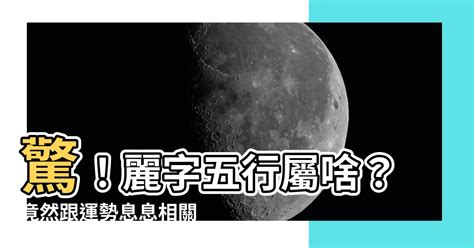 麗字五行|【麗五行】驚！麗字五行屬啥？竟然跟運勢息息相關